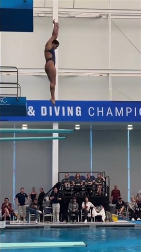How to Do a Perfect Takeoff on a Diving Springboard #diving #aquatics