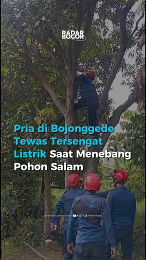 Radar Bogor on Instagram: "‎Seorang pria tewas tersengat listrik saat di Puri Arta Sentosa RT 05/13 Desa Waringin Jaya, Kecamatan Bojonggede, Kabupaten Bogor, Jumat (02/01) pagi ‎ ‎Kepala Dinas Pemadam Kebakaran dan Penyelamatan Kabupaten Bogor, Yudi Santosa menuturkan, kejadian bermula saat korban berinisial VB (21) sedang menebang sebuah pohon jenis salam. ‎ ‎"Lalu pohon tersebut roboh mengenai kabel listrik, sehabis itu tidak terdengar lagi suara korban menebang pohon," kata Yudi, Jumat (02/0
