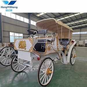 [Hot Item] New Coming Electric Horseless Carriage/Four Wheel Drive Electric Vehicle/Luxury Zone Wedding Buggy/Limousine