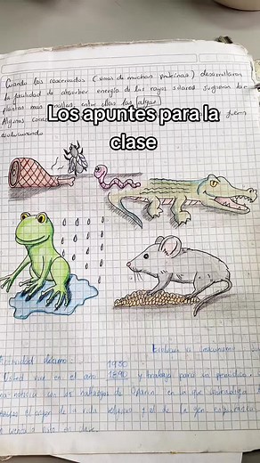Inteligencias Múltiples según Howard Gardner