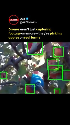 Drones Are Picking Apples Now… Farmers Are Shocked 🍎🚁
