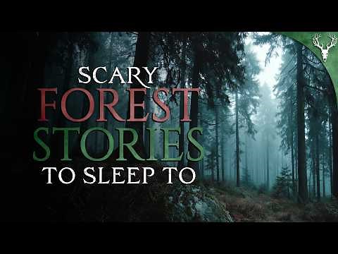 16 True Woods Horror Stories to Fall Asleep To