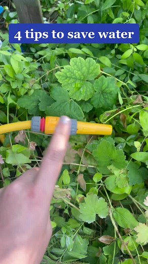 Efficient Ways to Save Water at Home