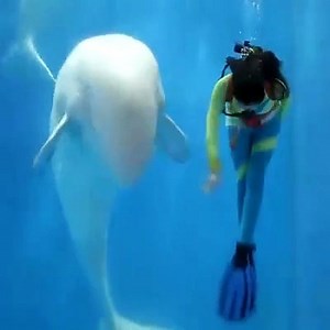 Its best fish dance. - video Dailymotion