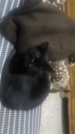 Hmidi Abdelhamid on Reels