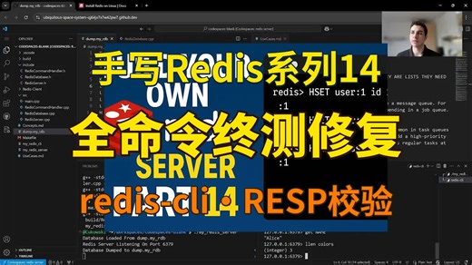 C++项目实战之手写Redis系列14(完结)-全命令终测修复与生产就绪验证