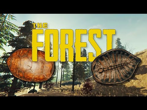 How to Turtle Shell SLIDE / SLED - The Forest (PC/PS4/PS5)