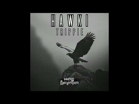 Hawki By TrippiE [Official Audio][Lyrics Video]