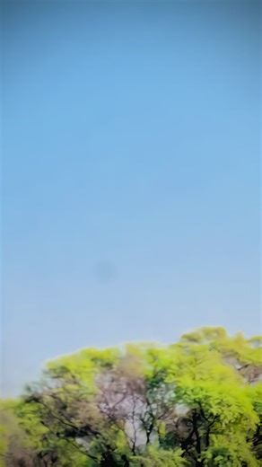 Menu ghin dy kamez kaaly rang di#plzunfrezemyaccount💔🥀🙂 #tiktokteamplzzzunfreezmyacoount🥺🥺 #1millionviews #foryoupage❤️❤️ #viral @♥️💝💤amaira shazhadi🥰🥰 @❤ Asghar Shahpurala ❤ @sana @Nida khan (official)