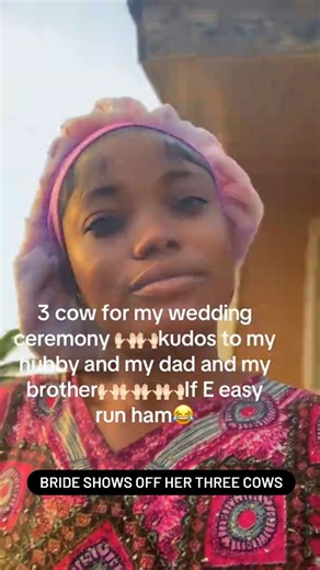 More Juicy News B4 D Last Post on Instagram: "If e easy run am - Bride brags as she shows off her three cows 📹; adewealth.beauty2"