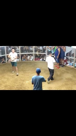 21 reactions · 3 comments | Bakbakan na ! White rubble stag #highlightseveryonefollowers #fypシ゚ #followers #highlights #noanimalswereharmedinthisvideo #thissportsislegalinmycountry #legalsports | Vhenjay | Facebook