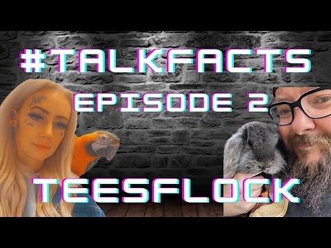 Talk Facts - TeesFlock