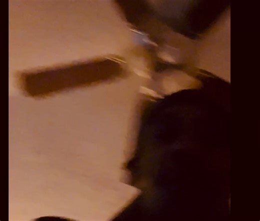 Sniggy Snig (@sniggy.snig)’s videos with original sound - Sniggy Snig