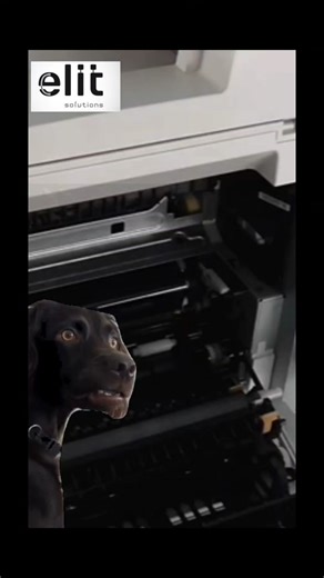 Somos ELIT SOLUTIONS EC ⚫ Fusor Xerox B400-B405 ✅ Importadores directos de suministros de impresión y tecnología. ✅ Realizamos ventas al por mayor y menor. 📢 WhatsApp 0984458538 🎯 Quito - Ecuador