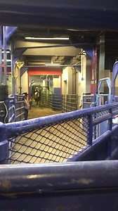 He says “let’s go boys!” 747 South Point loaded and ready! South Point Hotel, Casino & Spa Wrangler American Hat Company Justin Boots Ram Rodeo Macksteel Farm and Ranch Equipment Blake's Trailer Sales & Repair Pendleton Whisky | Sutton Rodeo Inc.