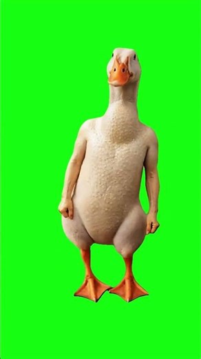 Goose with human arms dancing | Green Screen #goose #dancing #greenscreen #memes