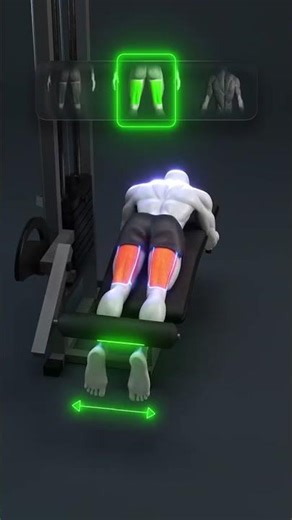 Leg Curl Variations That Will CHANGE Your Fitness Routine