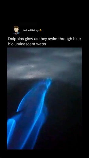 358K views · 17K reactions | What in the avatar is going on here ?  | We Are Nature | Facebook