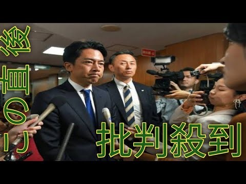 【小泉陣営も事実認める】小泉進次郎陣営が「ニコニコ動画」で“ステマ指示” 「石破さんを説得できたのスゴい」など24のコメント例、高市氏への中傷も…