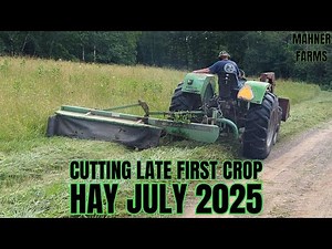 Cutting Late First Crop Hay 2025 | Deutz D 6806 & SM45 Disc Mower