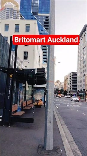 POV: You’re Walking in Auckland at Sunset 🌇 #shorts #newzealand #travel #youtubeshorts