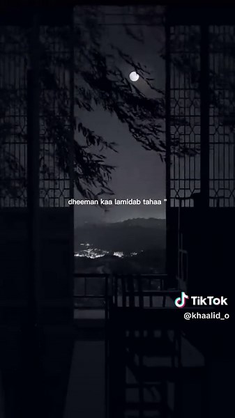 mr^Jooqle shire wuxu yirih🫶🥹Dhaymankad💎🖤 lamidab tahy #khaalit #somalitiktok12 #somalisong #foryoupage #heeso #useheadphones #somalitiktok12 #jawi_bila🌊❤️🌴