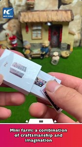 5.6M views · 704 shares | Mini farm: a combination of craftsmanship and imagination | China Xinhua News | Facebook