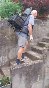 311K views · 3.2K reactions | ✨️ ᴘʀɪ́ᴘʀᴀᴠᴀ ɴᴀ ʜɪᴍᴀʟᴀ́ᴊᴇ, ᴀʟᴇʙᴏ ᴘᴏᴢᴏʀ...