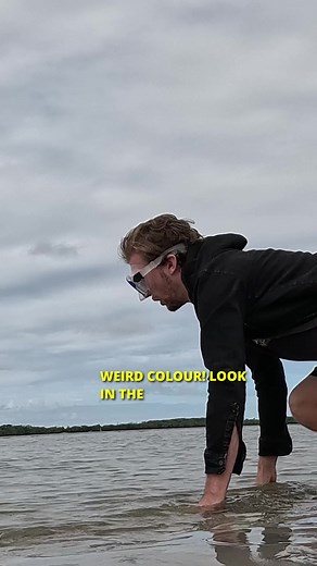 3 Reasons Why You're Not Catching Fish on Lures