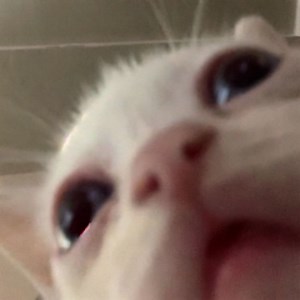 aflow_ - Twitch