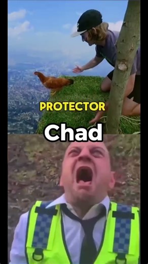 Chad… 🦆 #memes