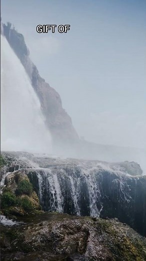 15 Min Guided Meditation for Healing and Recovery | Your Self healing Reset #meditation #trending