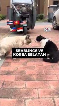 Konflik online SEABLINGS vs Korea