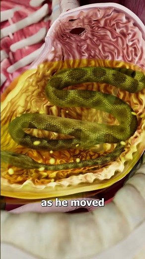 This Ancient Poop Contained A Snake 😮