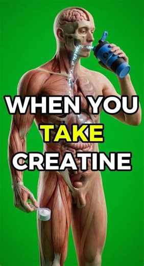 What Happens Inside Your Body When You Take Creatine?