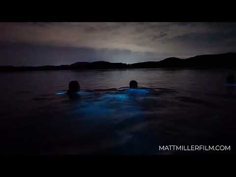 Parguera, Puerto Rico - Bioluminescent Bay