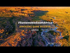 Dinokeng Game Reserve: Rhinos in the Heart of Gauteng