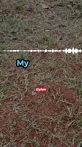 192K views · 1.8K reactions | Cop Desperately Pleads on 911 Call  | Real Big Story | Facebook