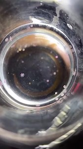 36K views · 838 reactions | Baby Jellyfish... | Our Planet | Facebook