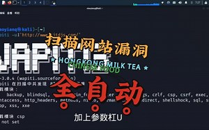 扫描漏洞工具，心动吗