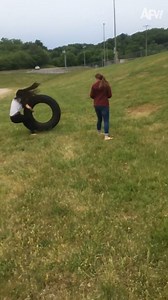 177K views · 758 reactions | One requires sleeping, the other requires leaping  #afv #funny | America's Funniest Home Videos | Facebook