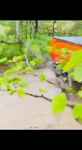 🇧🇼💯 Mokoko,22R!🔥 Credits to RAYON FX GOAT | Bw Car Culture