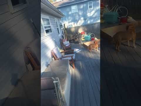 OBX Outdoors is live!