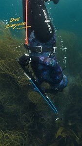 Why dive deep? | Daniel Mann - Dive Everywhere
