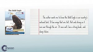 Identify the Main Topic and Retell Key Details