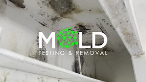 Mold Inspection and Testing Dallas: A Comprehensive Approach Our...