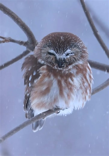 Francois Potvin on TikTok