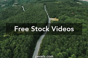 Free Show+A+Girl+Playing+With+Herself+While+Driving Videos