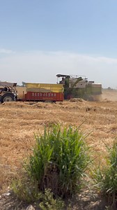 375K views · 2.4K reactions | Old is gold | Indian combines | Facebook