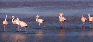 FP060: Water Sector Resilience Nexus for Sustainability in Barbados (WSRN S-Barbados)